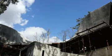 intermezzo-del-bosque-proyecto-770x497