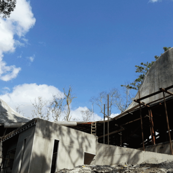 intermezzo-del-bosque-proyecto-770x497